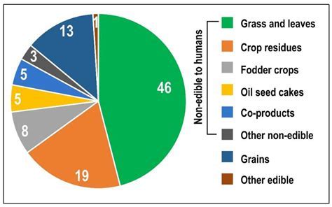 Millet: Exploring This Ancient Grain for Sustainable Biofuel Production and Gluten-Free Food Applications!