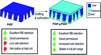 Quaterpolyphenylene's Remarkable Contribution to High-Performance Membranes and Advanced Coatings!