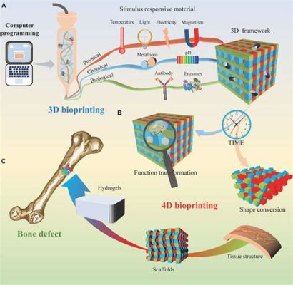 Polycaprolactone: A Biomaterial Wonder for Bone Regeneration and Tissue Engineering Applications!