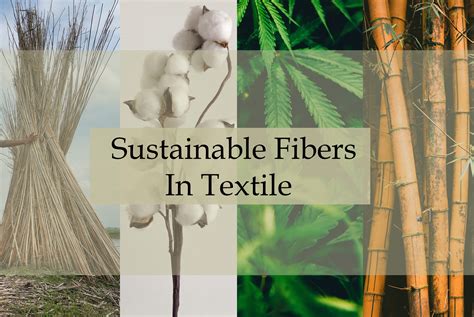  Quince Fiber: Exploring Sustainable Textile Innovations for Enhanced Performance and Durability